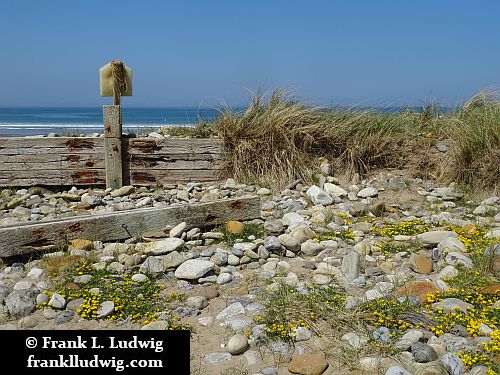 Strandhill